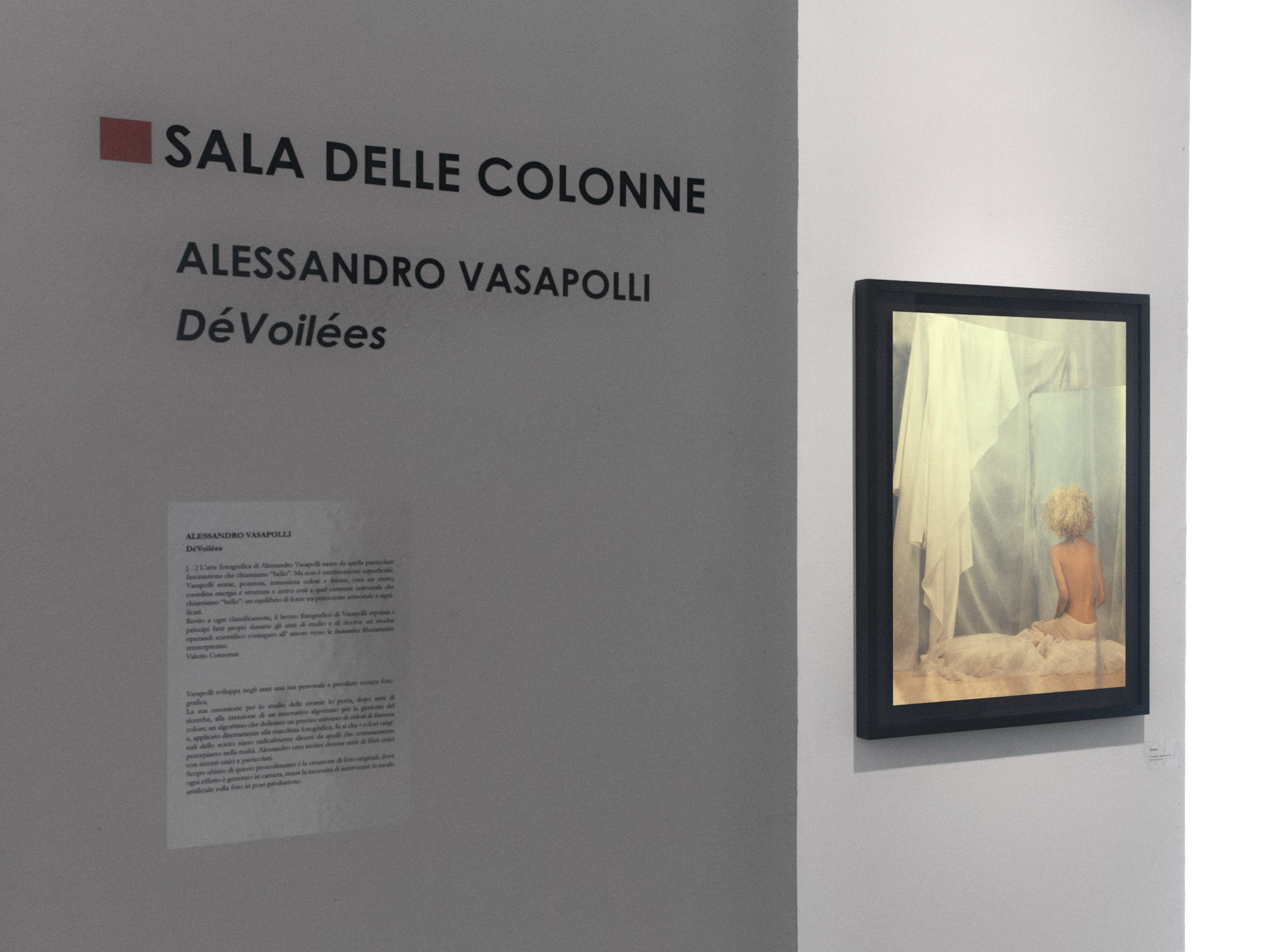 Alessandro_Vasapolli_DéVoilées_Galleria_Biffi_05